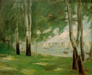Bétulas na costa de Wannsee, a leste